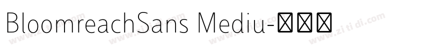 BloomreachSans Mediu字体转换